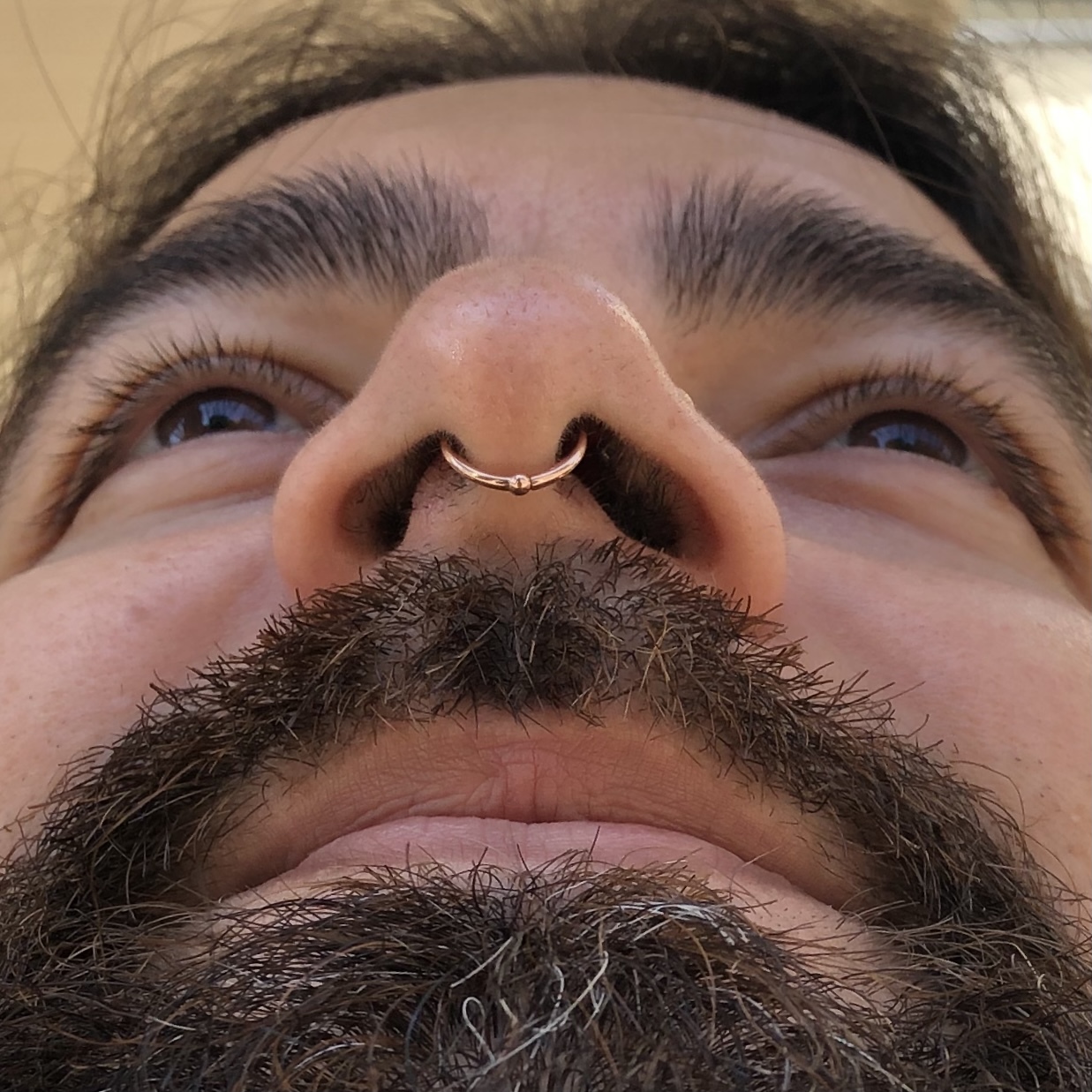 Real piercing curation by an Adorn Body Art piercer