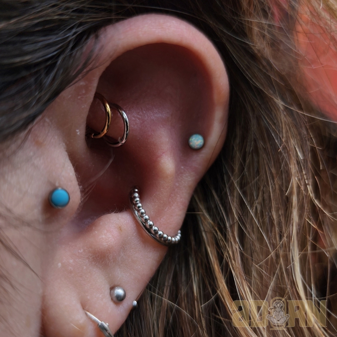 Real piercing curation by an Adorn Body Art piercer