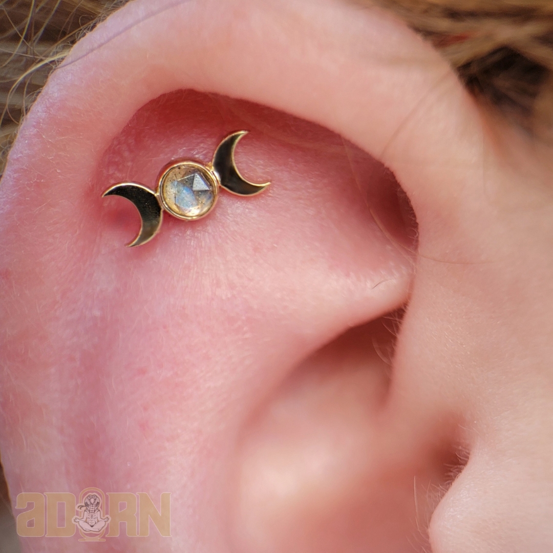 Real piercing curation by an Adorn Body Art piercer